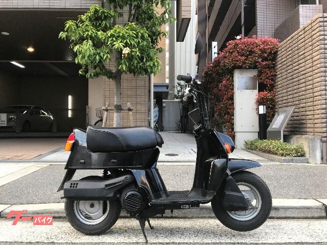 ホンダ スカッシュ｜モトスポーツ ＧＬＡＤ／ＡＬＴ｜新車・中古バイク