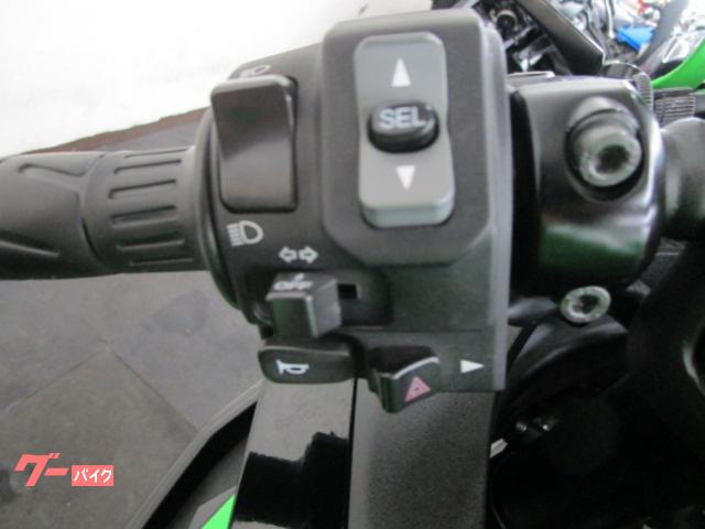 もり114出品 ZX-4R(24~) / ZX-4RR(24~)用ラジエターコアガード