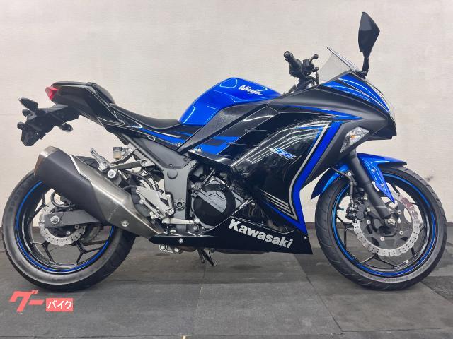 Ｎｉｎｊａ　２５０　ＳＥ　アシスト＆スリッパークラッチ搭載