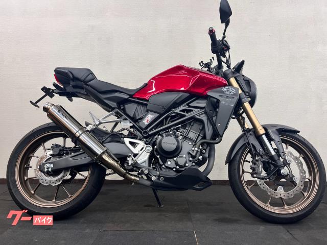ＣＢ２５０Ｒ　マフラー・フェンダーレス・レバー・グリップ・グリップエンド・スマホホルダー・ラジエーターガード・ヘルメットホルダー