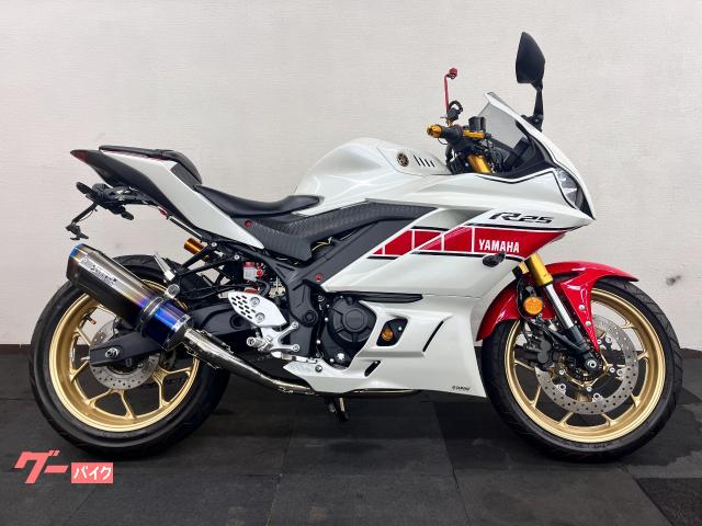 ＹＺＦ−Ｒ２５　ＡＢＳ　ＷＧＰ　６０ｔｈ　Ａｎｎｉｖｅｒｓａｒｙ　ＫＹＢカスペンション・ＷＲ’Ｓマフラーカスタム