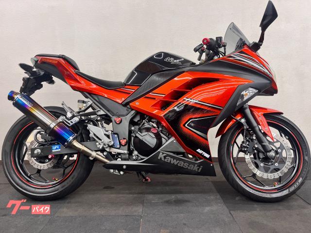 Ｎｉｎｊａ　２５０　ＳＥ　ＢＭＳ−Ｒマフラー・ドライブレコーダー・ハンドルアップカスタム