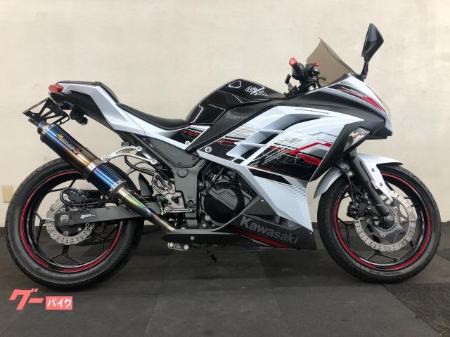 Ninja 250 ABS スペシャルエディション・マフラー・バックステップ・スクリーン・レバー・グリップ・フェンダーレス