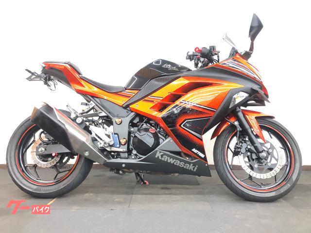 Ｎｉｎｊａ　２５０　フェンダーレス・ドラレコ・グリップエンド・ＥＴＣ・スクリーンカスタム