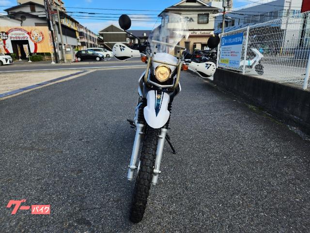 ヤマハ セロー250 グリーン ETC 純正リアキャリア