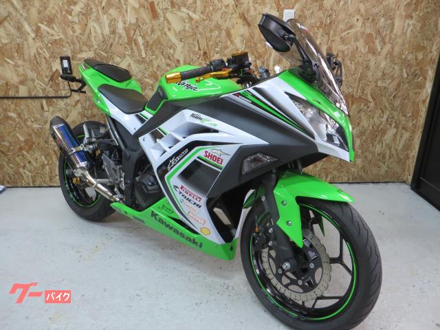 Ｎｉｎｊａ　２５０　スペシャルエディション　ヨシムラマフラー　ＥＴＣ付　カスタム多数