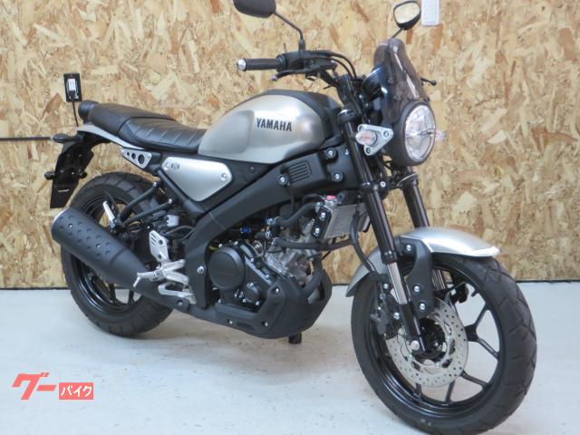 ＸＳＲ１２５　デイトナバイザー付