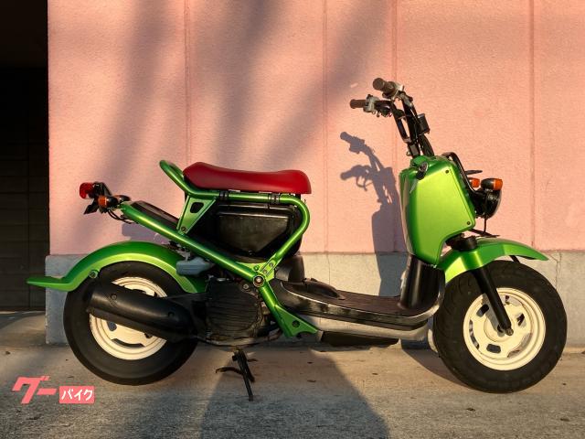 車両情報:ホンダ ズーマー | JACKAL 外環状線店 | 中古バイク・新車