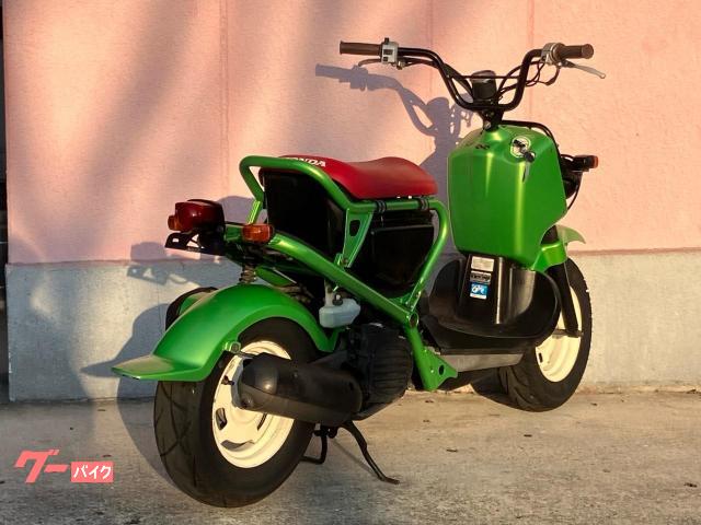 HONDA ズーマー　緑 車両情報:ホンダ ズーマー | JACKAL 外環状線店 | 中古バイク・新車