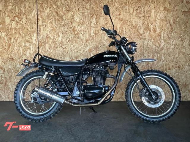 ２５０ＴＲ　インジェクションモデル　カスタム多数
