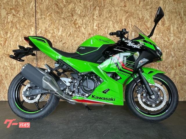Ｎｉｎｊａ　２５０　ワンオーナー　タンクパッド