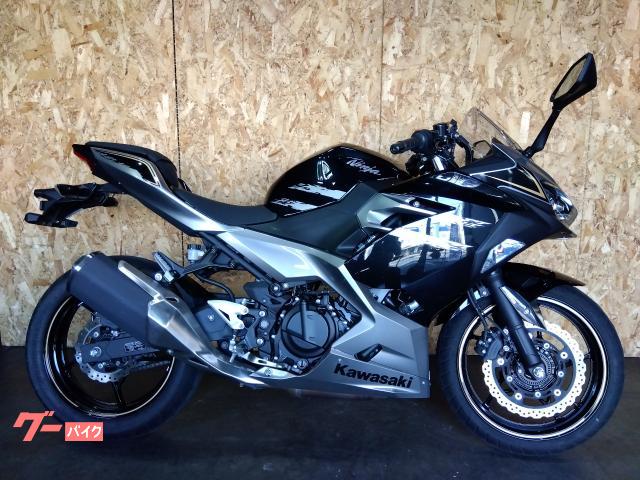 Ｎｉｎｊａ　２５０ＡＢＳ　ＥＴＣ・ＵＳＢ装備　アシスト＆スリッパークラッチ仕様