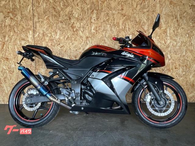 Ｎｉｎｊａ　２５０Ｒ　スペシャルエディション