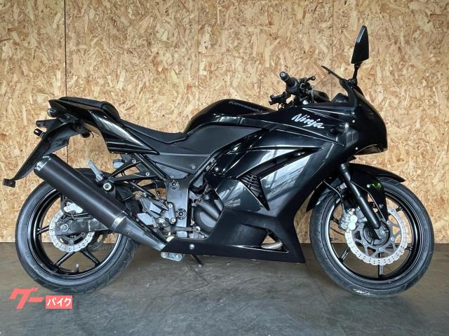 Ｎｉｎｊａ　２５０Ｒ