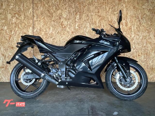 Ｎｉｎｊａ　２５０Ｒ