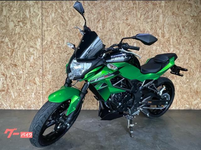 【希少品】カワサキ　ニューナンバーワン　ライトリー　SL2 2本 カワサキ（Kawasaki） ZX-25R ヘッドライト 100-8S001 純正 中古