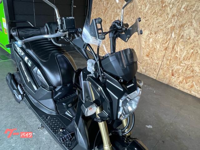 ホンダ ズーマーX 国内正規モデル|カワサキ正規取扱店リアルアイズ ホンダ ズーマーX 国内正規モデル|カワサキ正規取扱店リアルアイズ