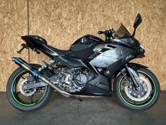カワサキ　Ｎｉｎｊａ　２５０　ＡＢＳ　社外マフラー