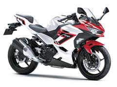 カワサキ　Ｎｉｎｊａ　２５０　２０２６年モデル　ギャラクシーシルバー　×　キャンディパーシモンレッド