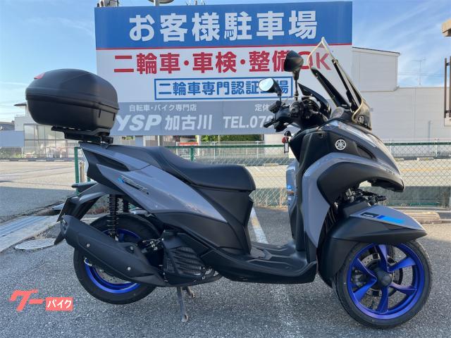 トリシティ１５５