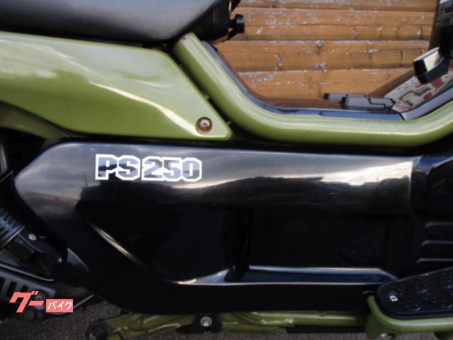ホンダ　ＰＳ２５０　ＭＦ０９　　２００４年式　初期型　ヘッドライトカスタム　カーキ ホンダ PS250 MF09前期 角目ヘッドライトモデル タンデムバー