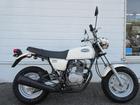 ホンダ エイプ １００ のカタログ情報 新車 中古バイク情報 Goobike グーバイク