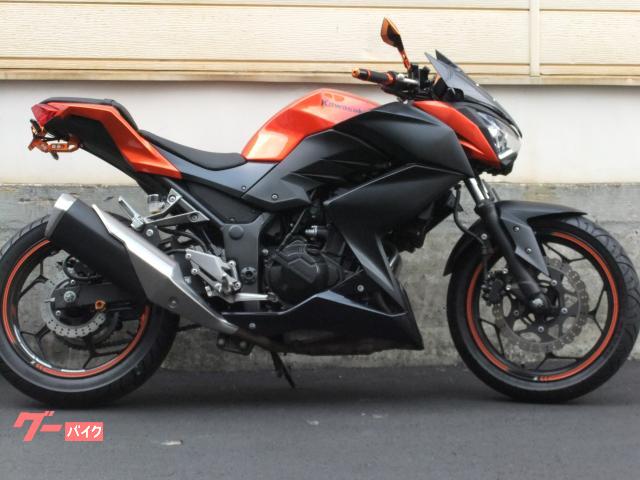 Ｚ２５０