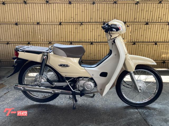 スーパーカブ１１０　ＪＡ１０　インジェクション