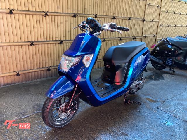 ホンダ バイクタンク 青 ホンダ バイクタンク 青 ホンダ バイクタンク 青 ホンダ バイクタンク