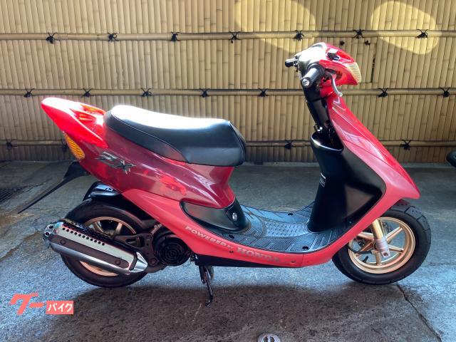 ライブＤｉｏ　ＺＸ　スケルトン