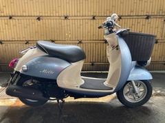 ビーノモルフェ(ヤマハ) 中古バイク一覧｜新車・中古バイクなら