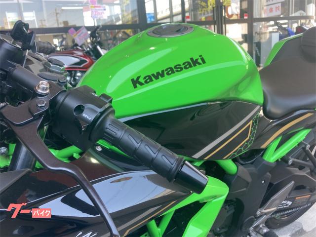 カワサキ Ｎｉｎｊａ ２５０ＳＬ インドネシア仕様 並行輸入車｜ファーストオート中環平野店｜新車・中古バイクなら【グーバイク】