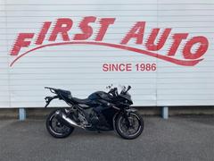 スズキ　ＧＳＸ２５０Ｒ　ドラレコ　ＥＴＣ　グリップヒーター　スライダー　アラーム　キャリア付き