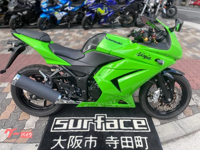 商談中』ニンジャ250R ランボルギーニ塗装 - カワサキ