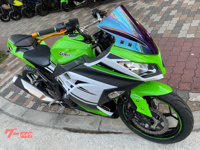 カワサキ Ｎｉｎｊａ ２５０ Ｎｉｎｊａ３０周年記念カラー アップ 