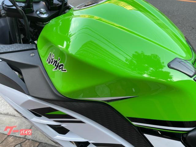 カワサキ Ｎｉｎｊａ ２５０ Ｎｉｎｊａ３０周年記念カラー アップ 