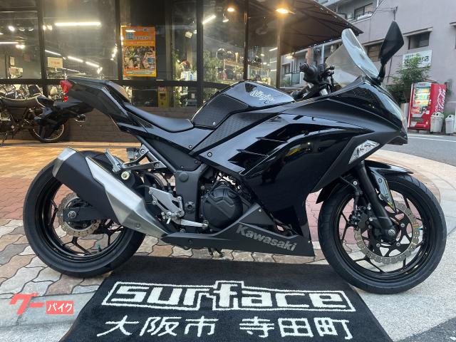 車両情報:カワサキ Ninja 250 | SURFACE | 中古バイク・新車バイク探しはバイクブロス