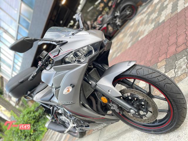 ヤマハ ＹＺＦ－Ｒ２５ エンデュランス製リアキャリア Ｋ－ＭＡＸ製リアボックス｜ＳＵＲＦＡＣＥ｜新車・中古バイクなら【グーバイク】