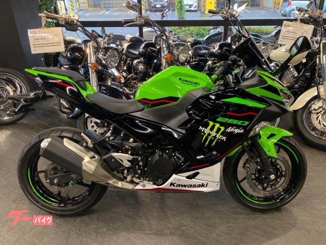 Ｎｉｎｊａ　２５０　ＫＲＴ　Ｅｄｉｔｉｏｎ　ブラックロングスクリーン　アジャスタブルレバー　純正スペアキー
