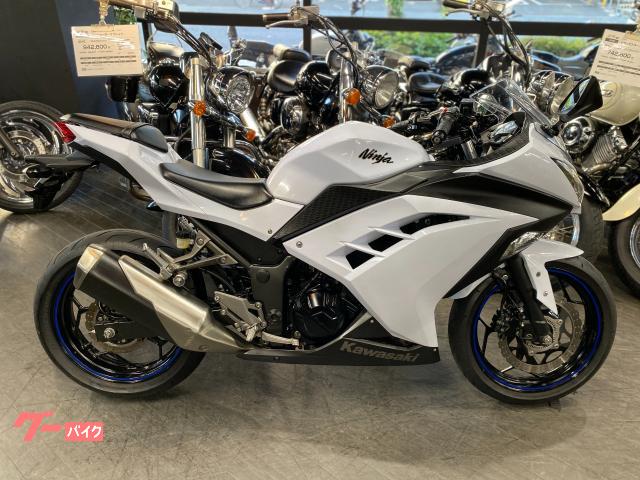 Ｎｉｎｊａ　２５０　マルチバー　ポジションインジケーター