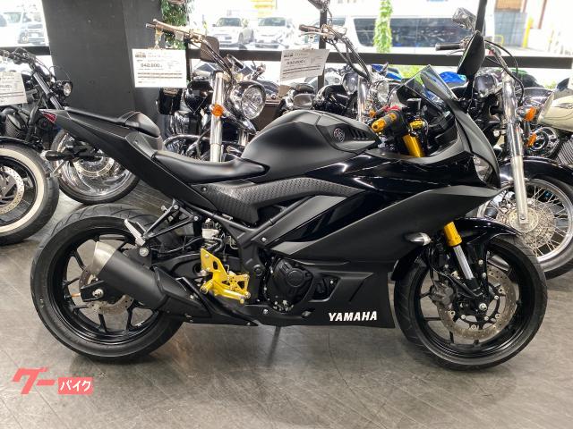 ＹＺＦ−Ｒ２５　バックステップ　フェンダーレス　可倒式アジャスタブルレバー　マルチバー　純正スペアキー付属