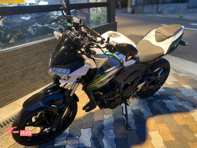 カワサキ Z250 EX250P 別体式ETC付 フェンダーレスキット