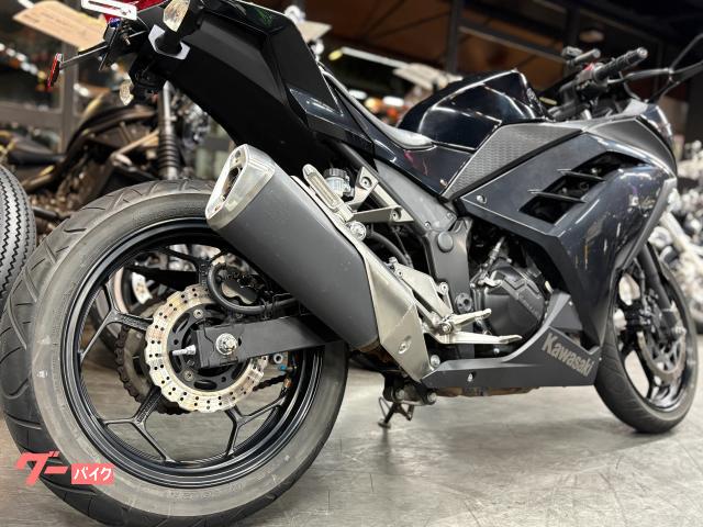 カワサキ Ninja 250 ブラック フェンダーレス スモークロング