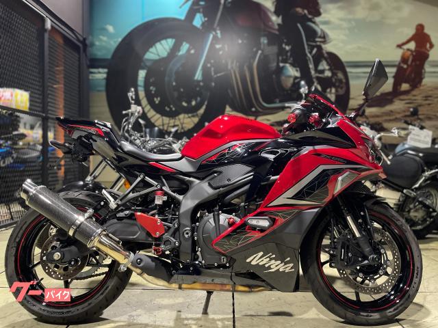 Ｎｉｎｊａ　ＺＸ−２５Ｒ　ＳＥ　ビームスマフラー　ＥＴＣ　フェンダーレス　シングルシートカウル　純正スペアキー付属