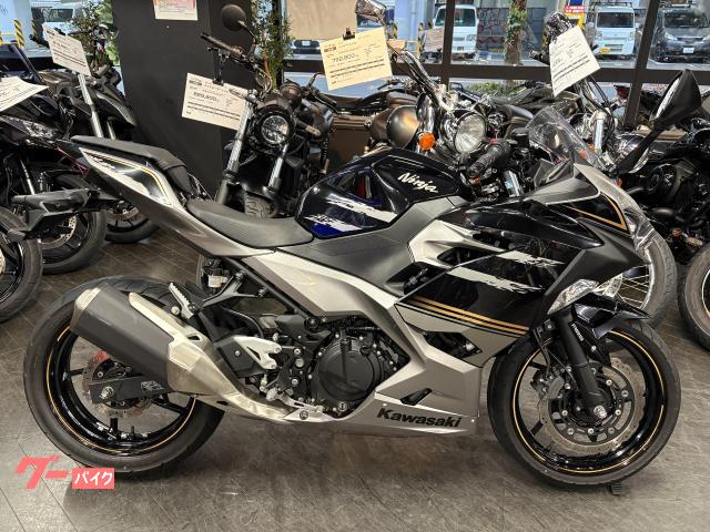 Ninja 250 2019年モデル ブラック/グレー マルチバー 純正スペアキー付属 ABS LED
