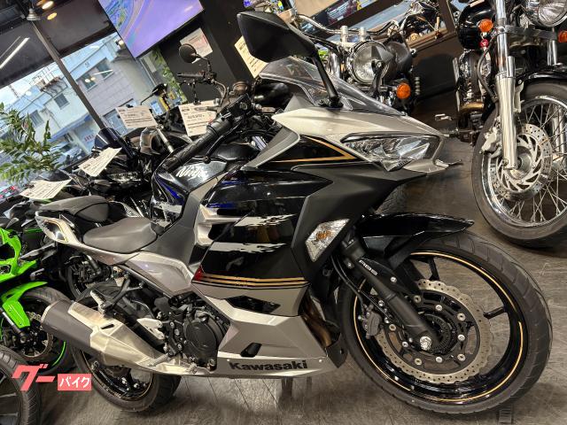 カワサキ Ninja 250 2019年モデル ブラック／グレー
