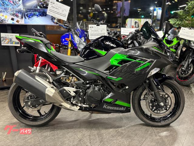 Ninja 400 スモークスクリーン フェンダーレスキット