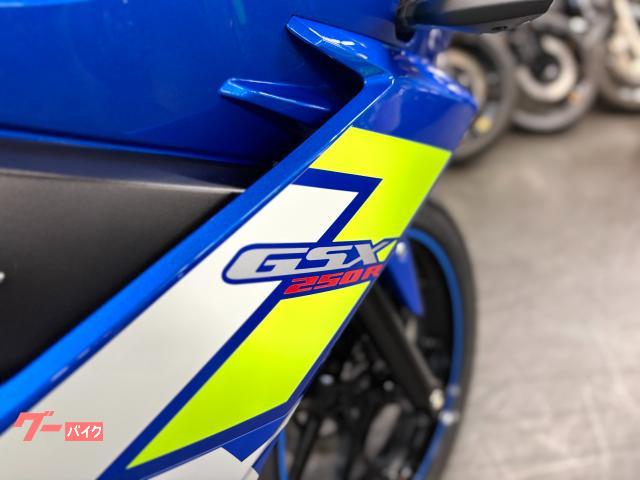 スズキ GSX250R フルノーマル車両 純正スペアキー付属 スズキ GSX250R フルノーマル車両 純正スペアキー付属