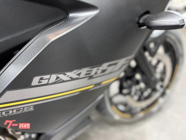 Suzuki GIXXER SF 250 2023 — миниатюра 4