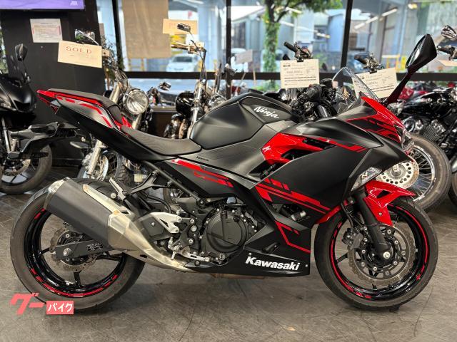Ｎｉｎｊａ　２５０　パッションレッド＆ブラック　マルチバー